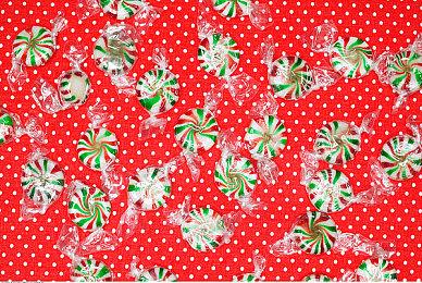 《街头霸王》第11届Capcom杯：日本选手夺冠获100万美元15岁神童获亚